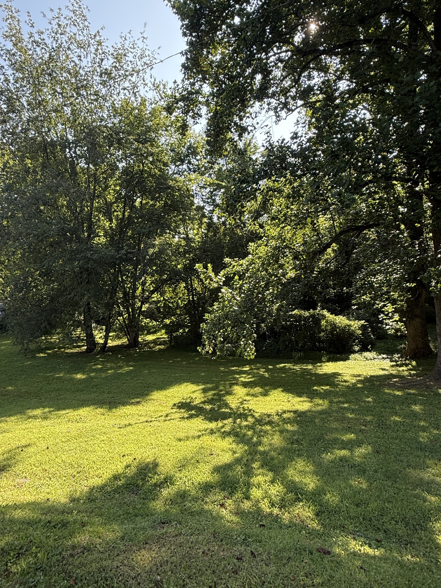 0 Azalea Dr Lot 63, Columbia, TN 38401