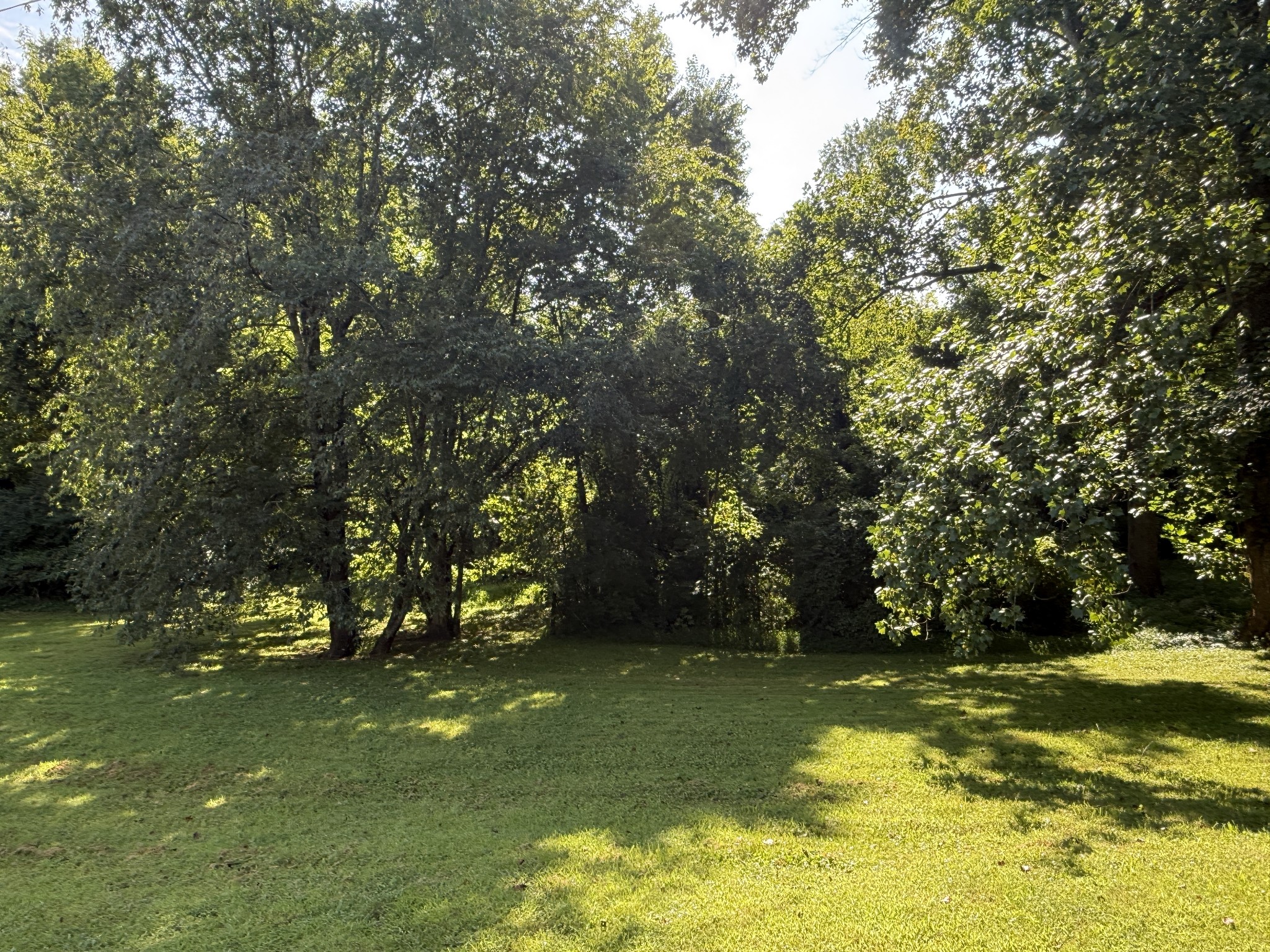 0 Azalea Dr Lot 63, Columbia, TN 38401