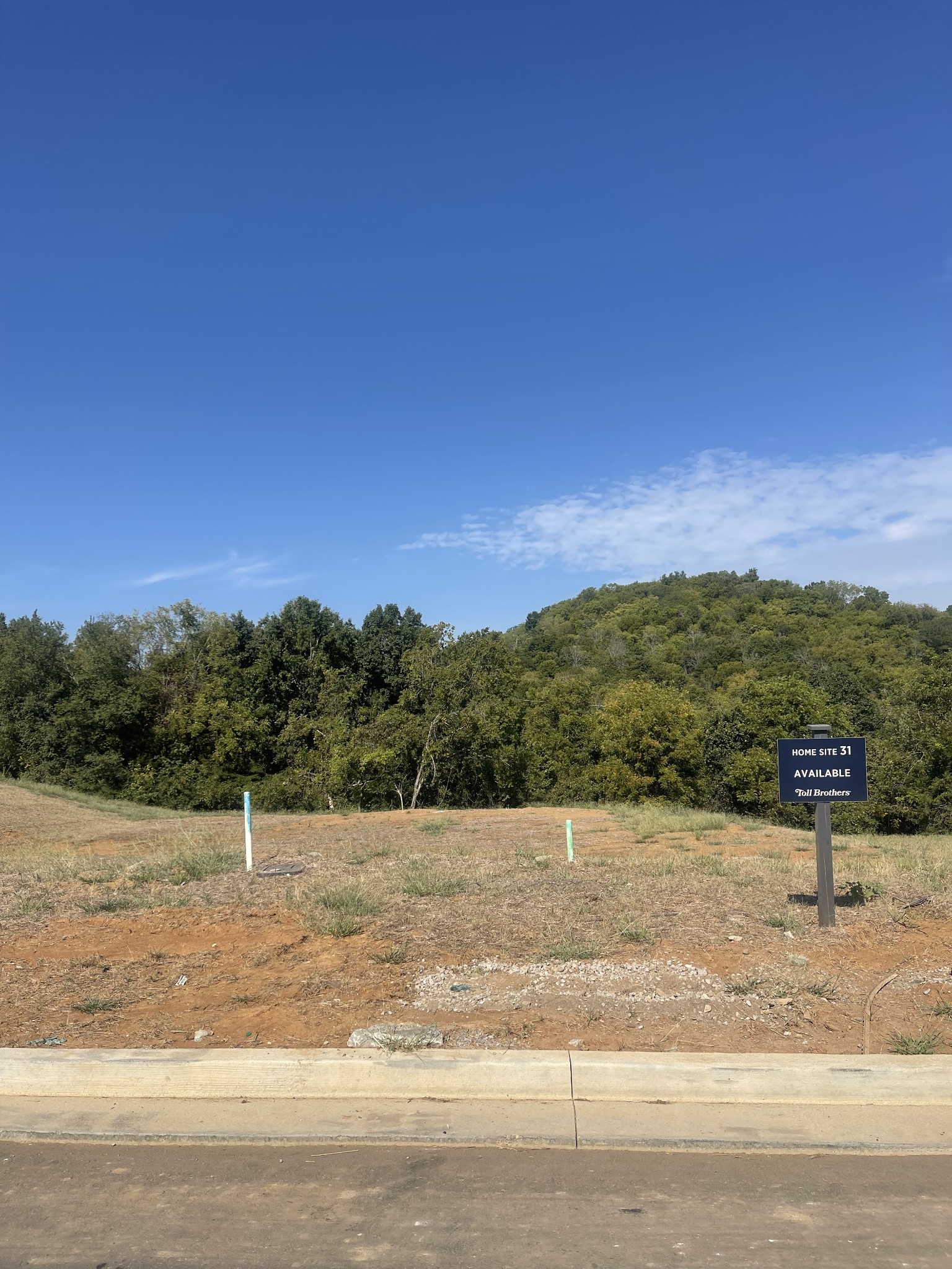 157 Berry Hunter Ln, Franklin, TN 37067
