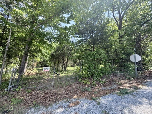 921 Eli Rd, Bon Aqua, TN 37025