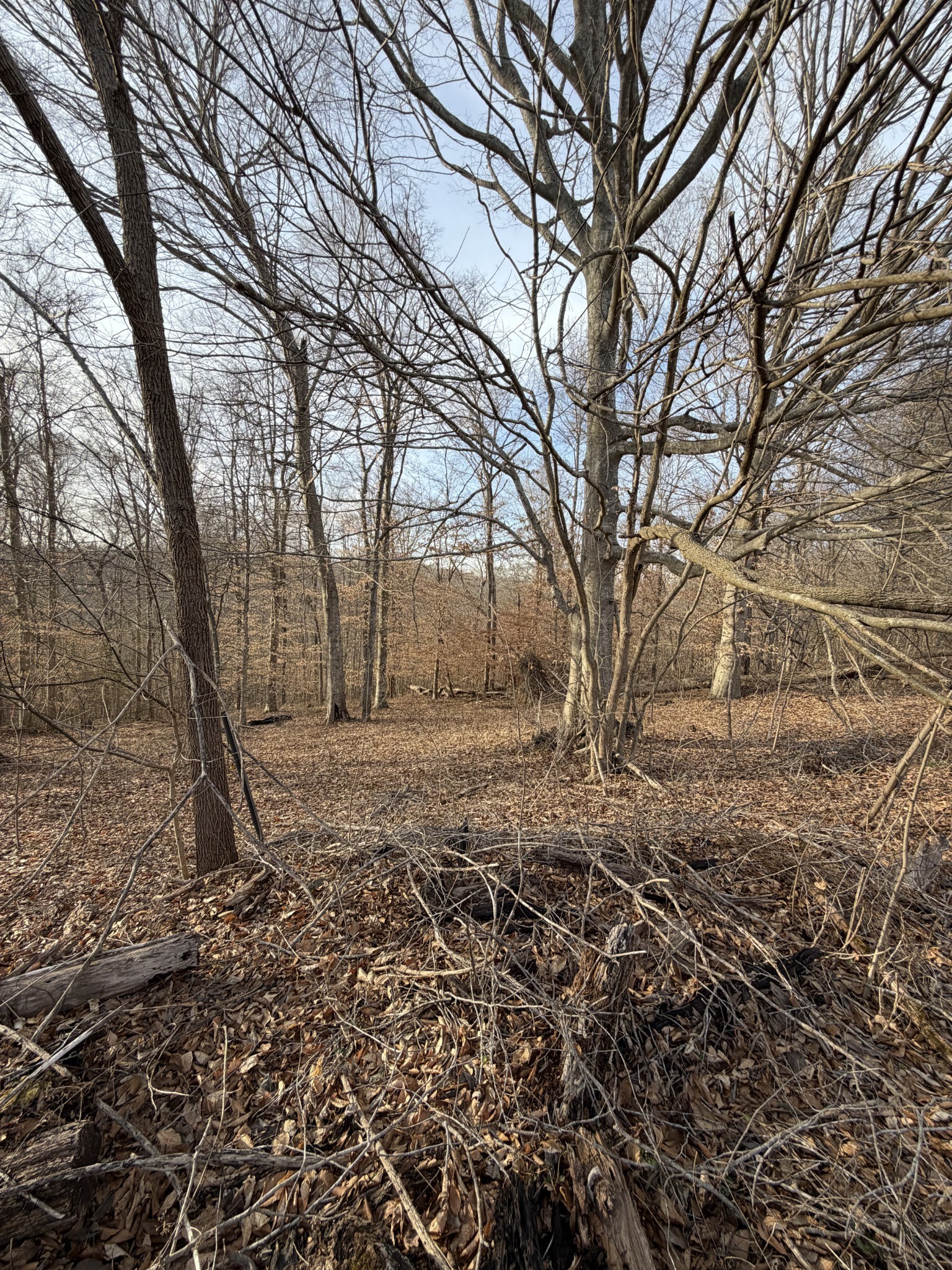0 Macon Wall Rd Lot 5, Ashland City, TN 37015