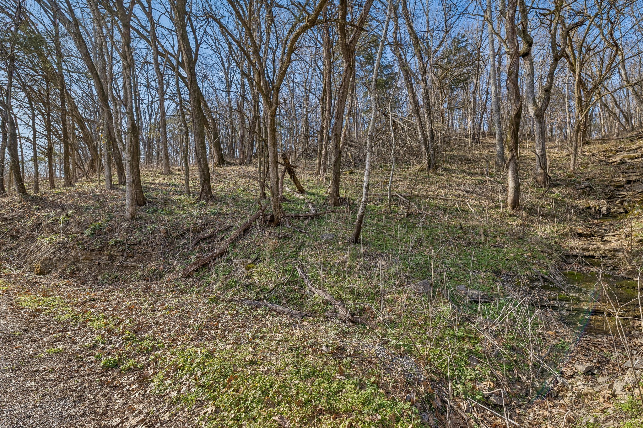 0 Dyer Branch Rd Lot 10, Gordonsville, TN 38563