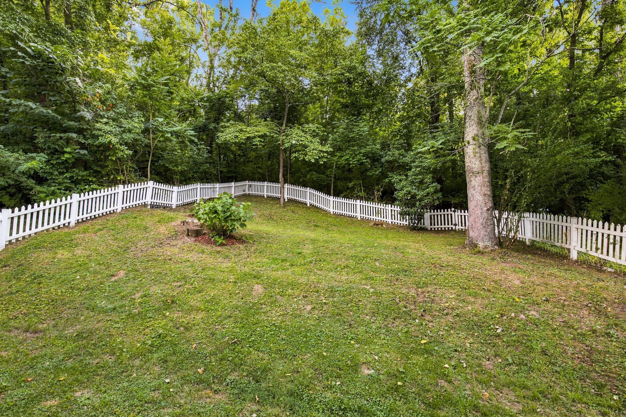 8348 Saint Danasus Dr, Nashville, TN 37211