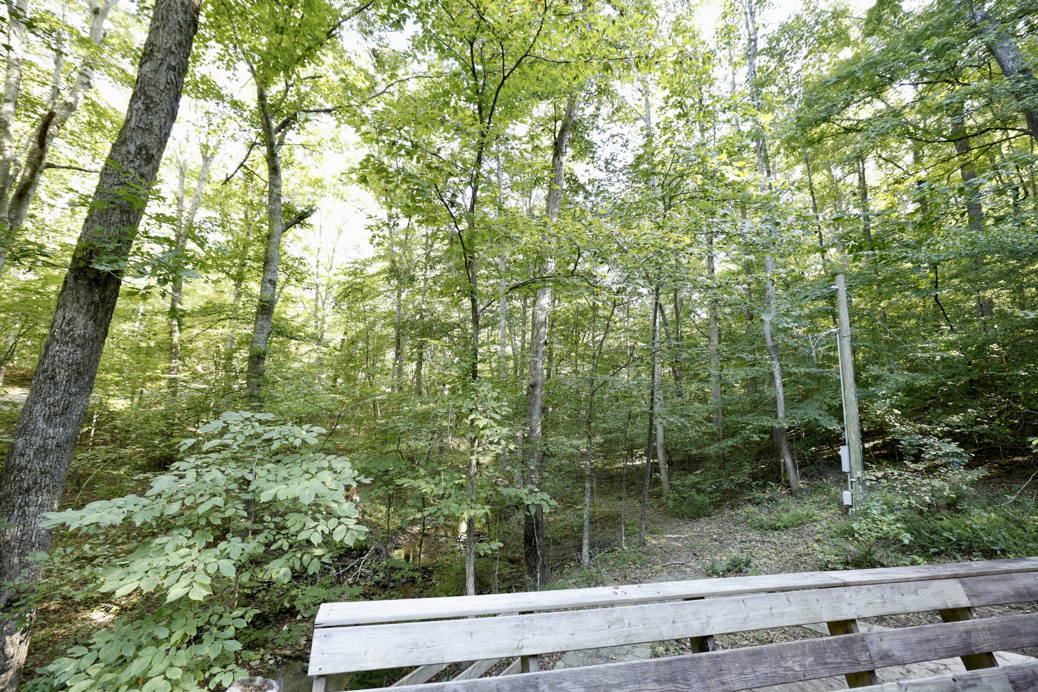 1336 Big Tom Rd, Kingston Springs, TN 37082