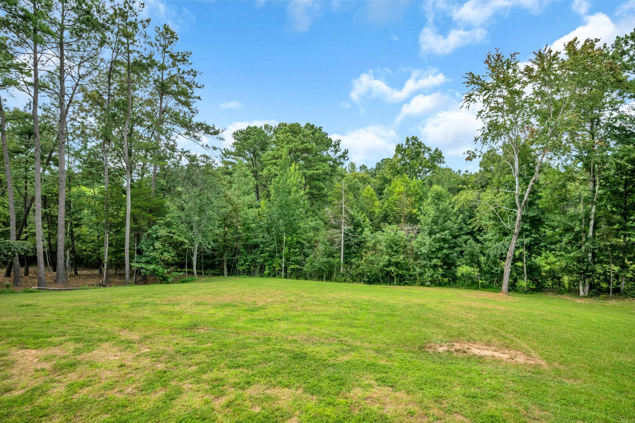 1175 Harmon Springs Rd, Dickson, TN 37055