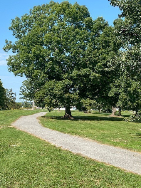 4063 Amelia Ln, White House, TN 37188