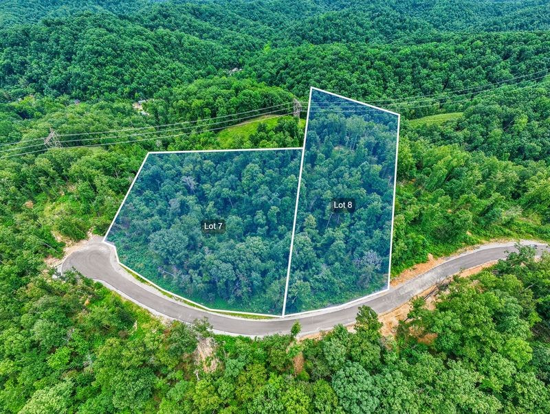 0 Falling Timber Dr Lot #7, Pegram, TN 37143