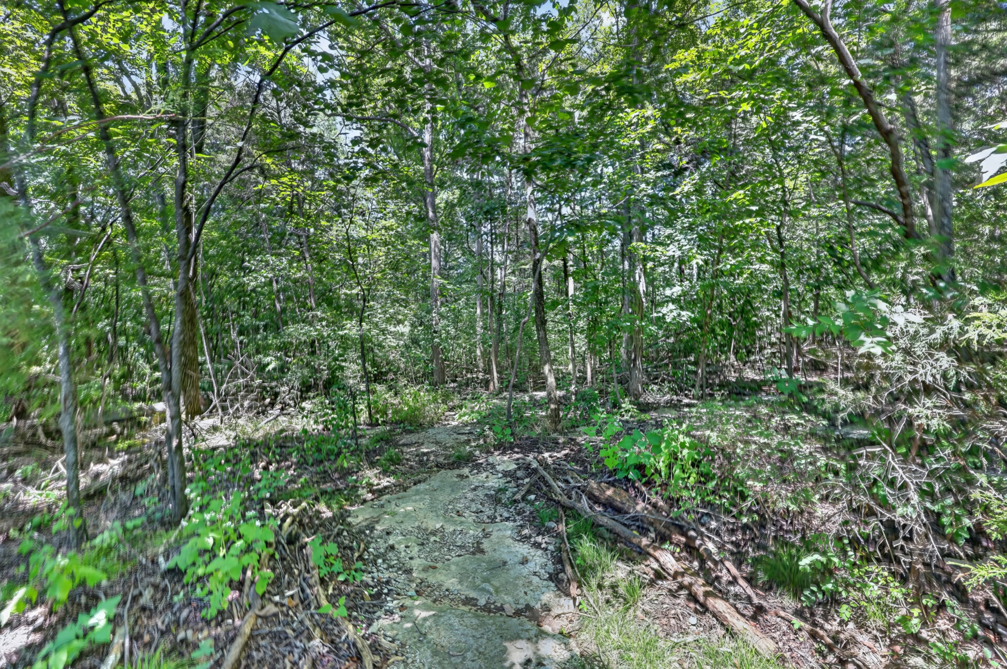 253 Oak Point Ln, Mount Juliet, TN 37122