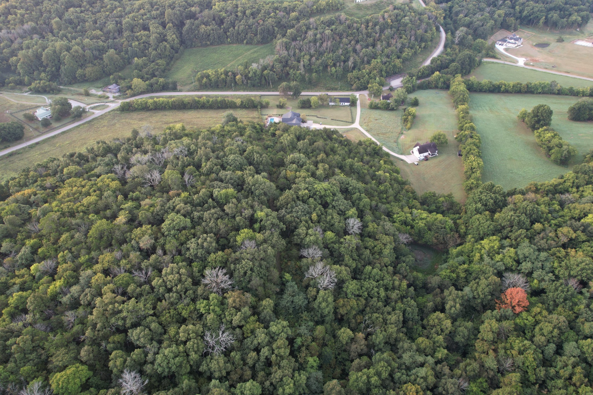 6889 Giles Hill Rd, College Grove, TN 37046