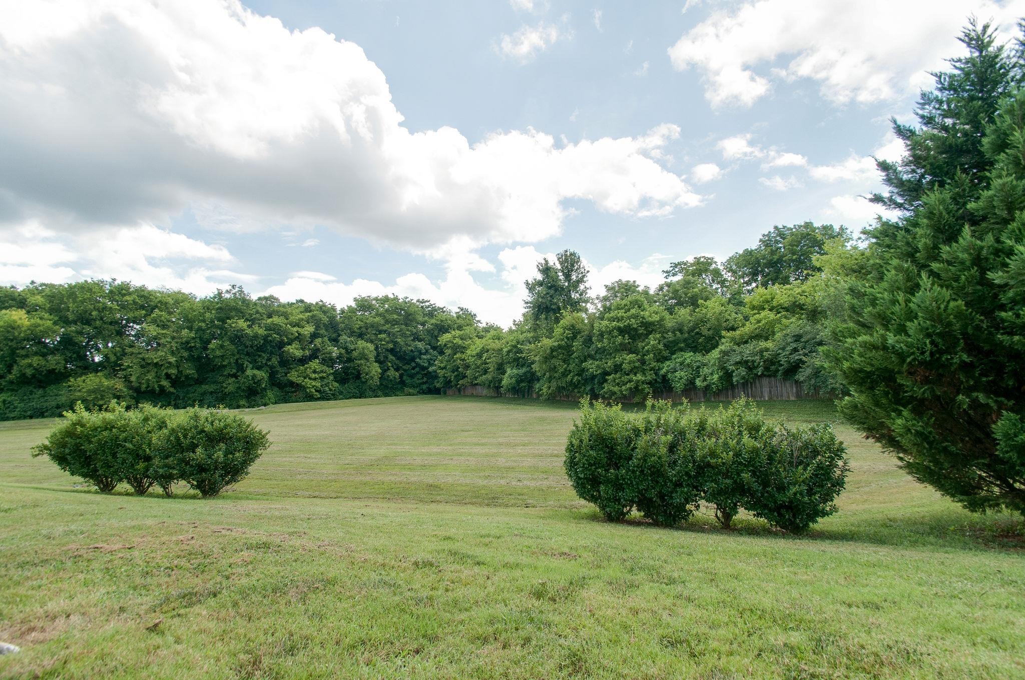3053 Harpeth Springs Dr, Nashville, TN 37221