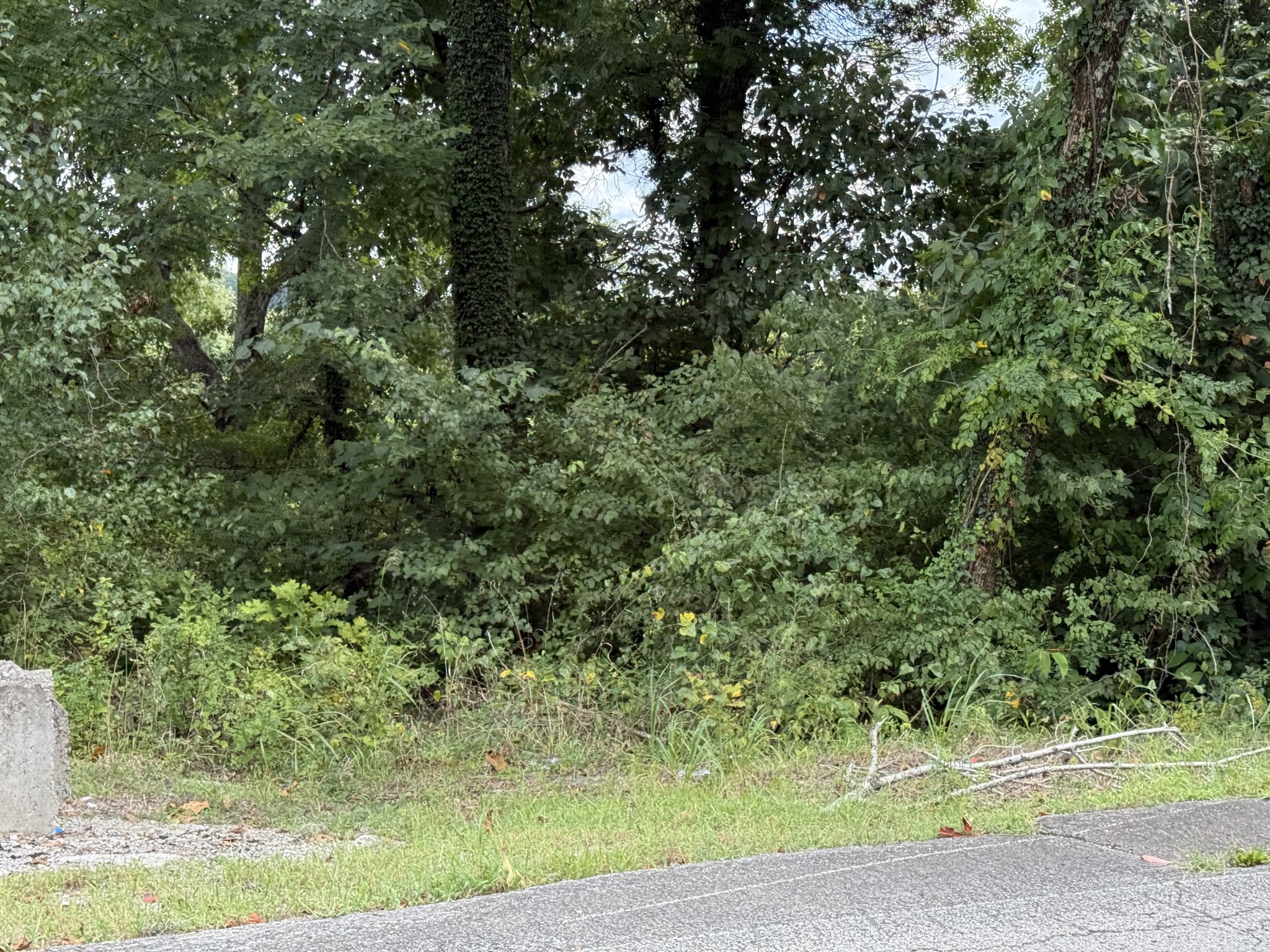 913 Riverside Dr, Columbia, TN 38401