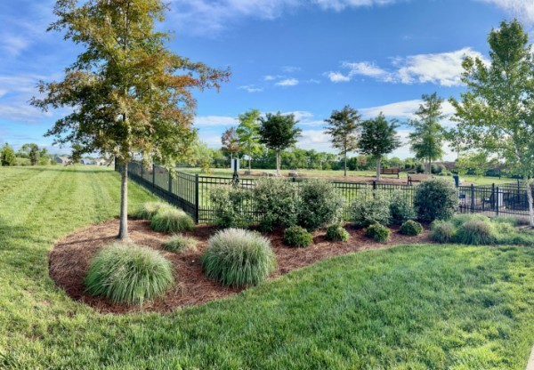 1405 Cannon Ln, Spring Hill, TN 37174