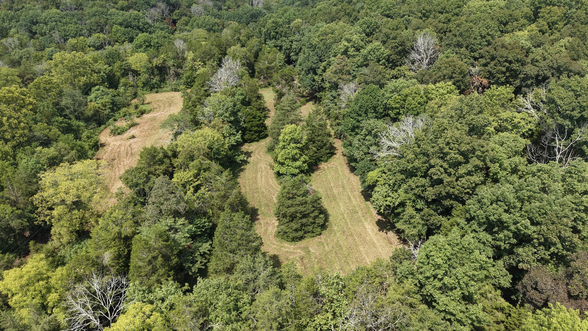 685 Red Tuttle Rd Lot 5, Bethpage, TN 37022