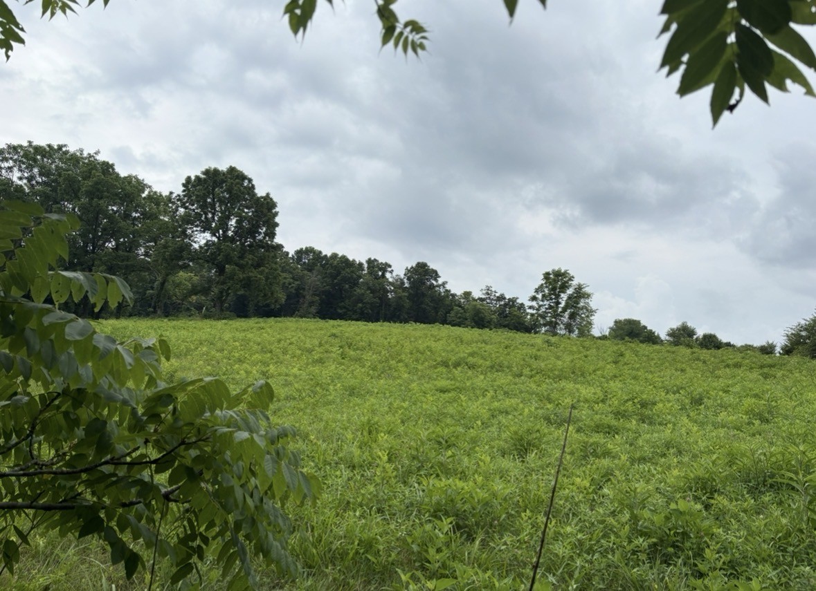 0 Gladdice Rd Lot 2, Pleasant Shade, TN 37145