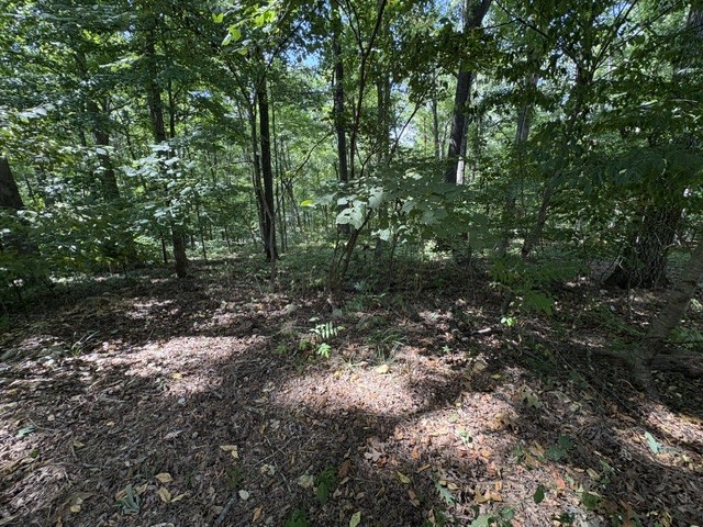 0 Scenic Dr Lot 43, Dickson, TN 37055