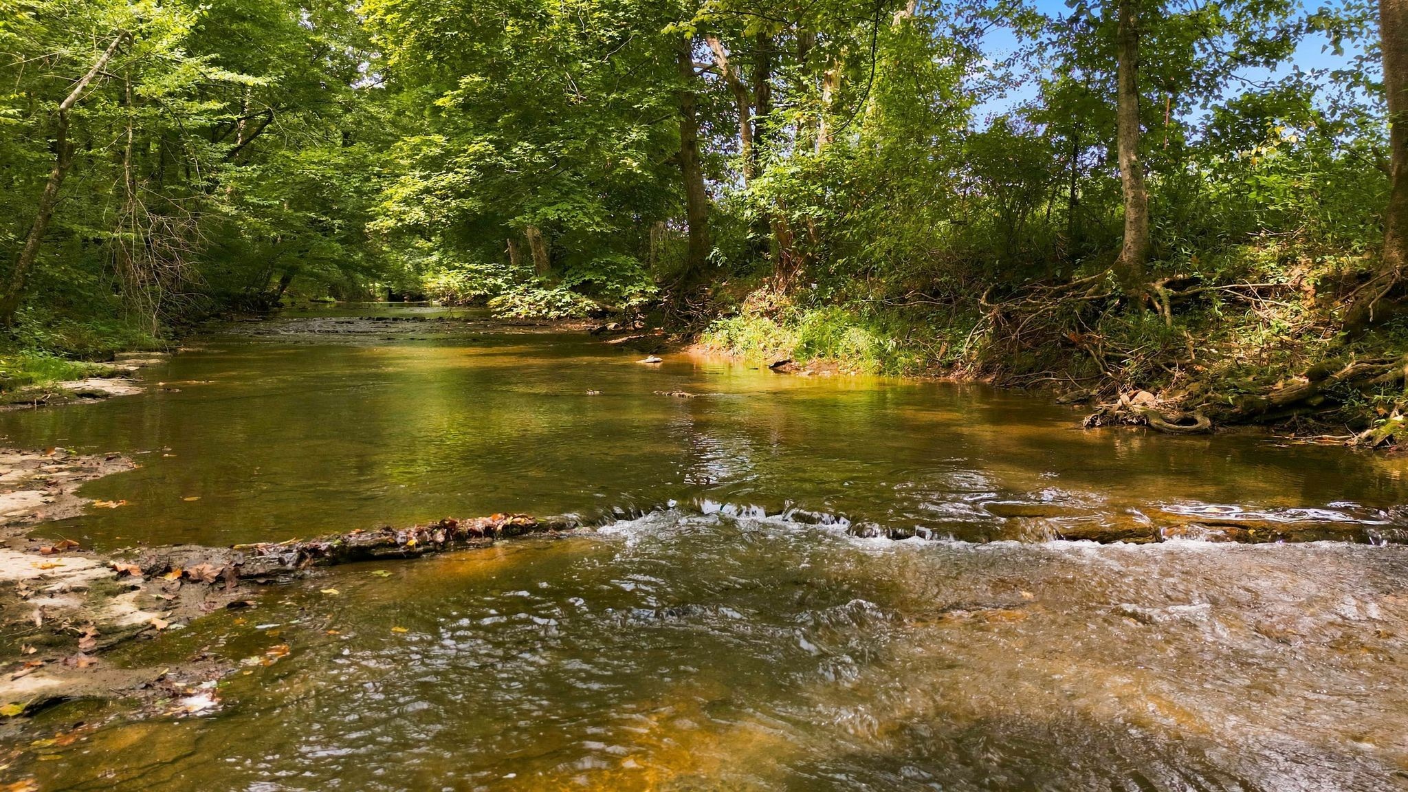0 Columbia Rd Lot Tr 5A, Dickson, TN 37055