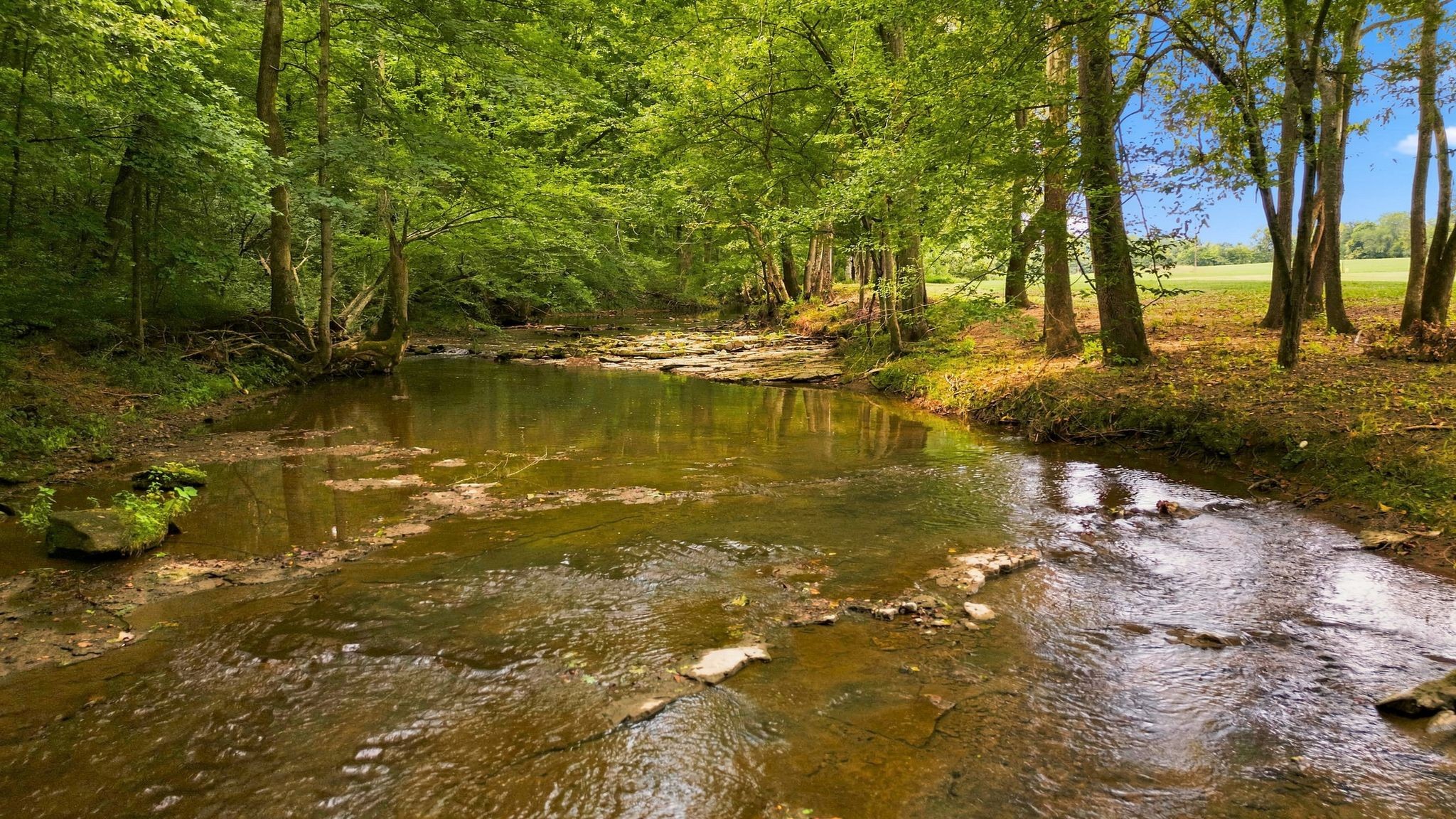 0 Columbia Rd Lot Tr 5B, Dickson, TN 37055