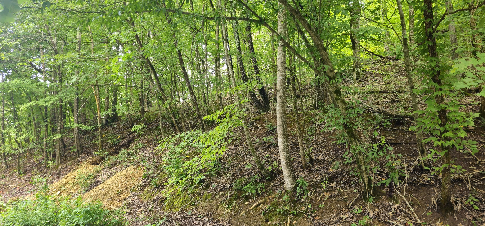 2196 Baker Station Rd, Goodlettsville, TN 37072
