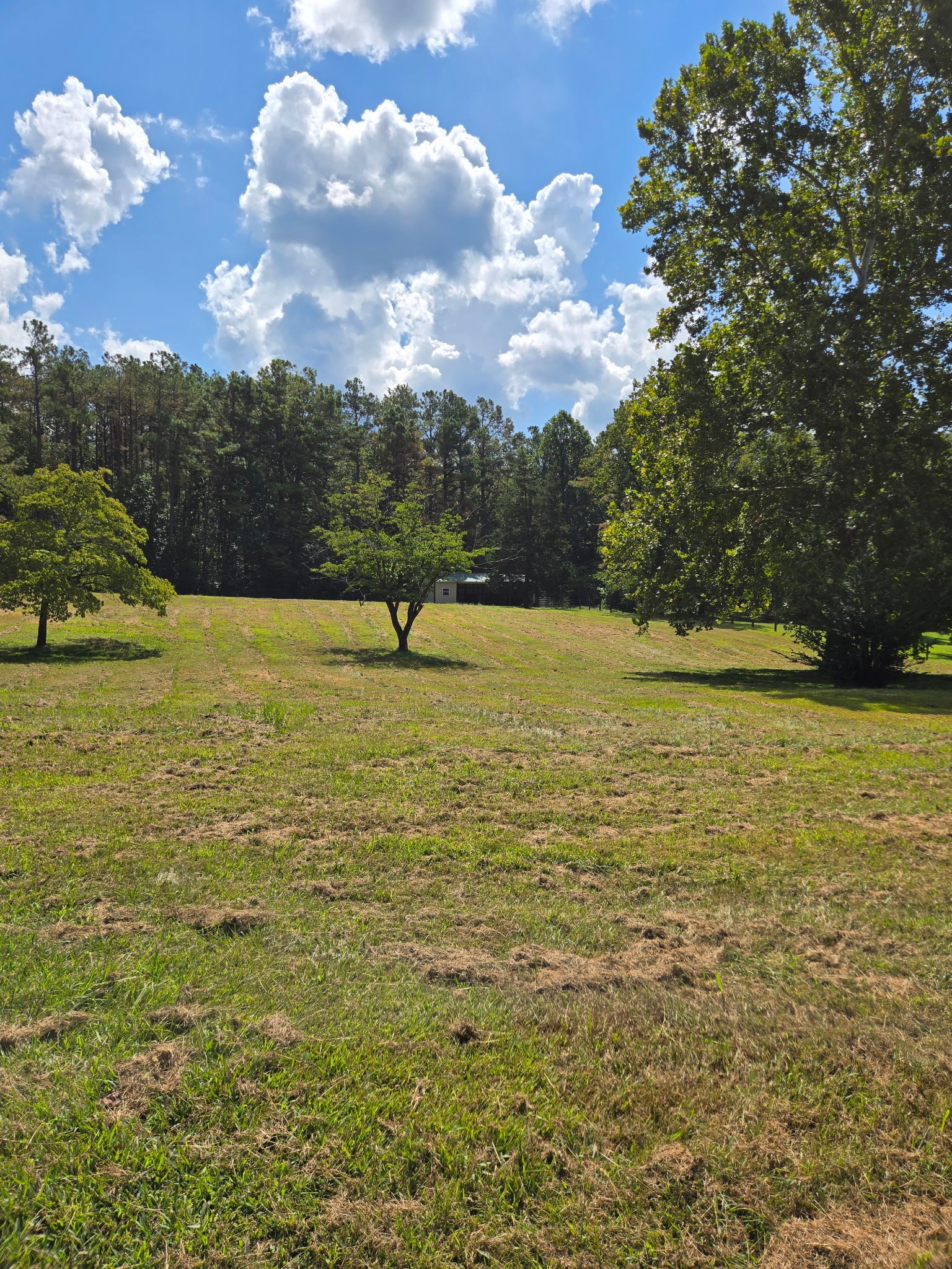7283 Kingston Rd, Fairview, TN 37062