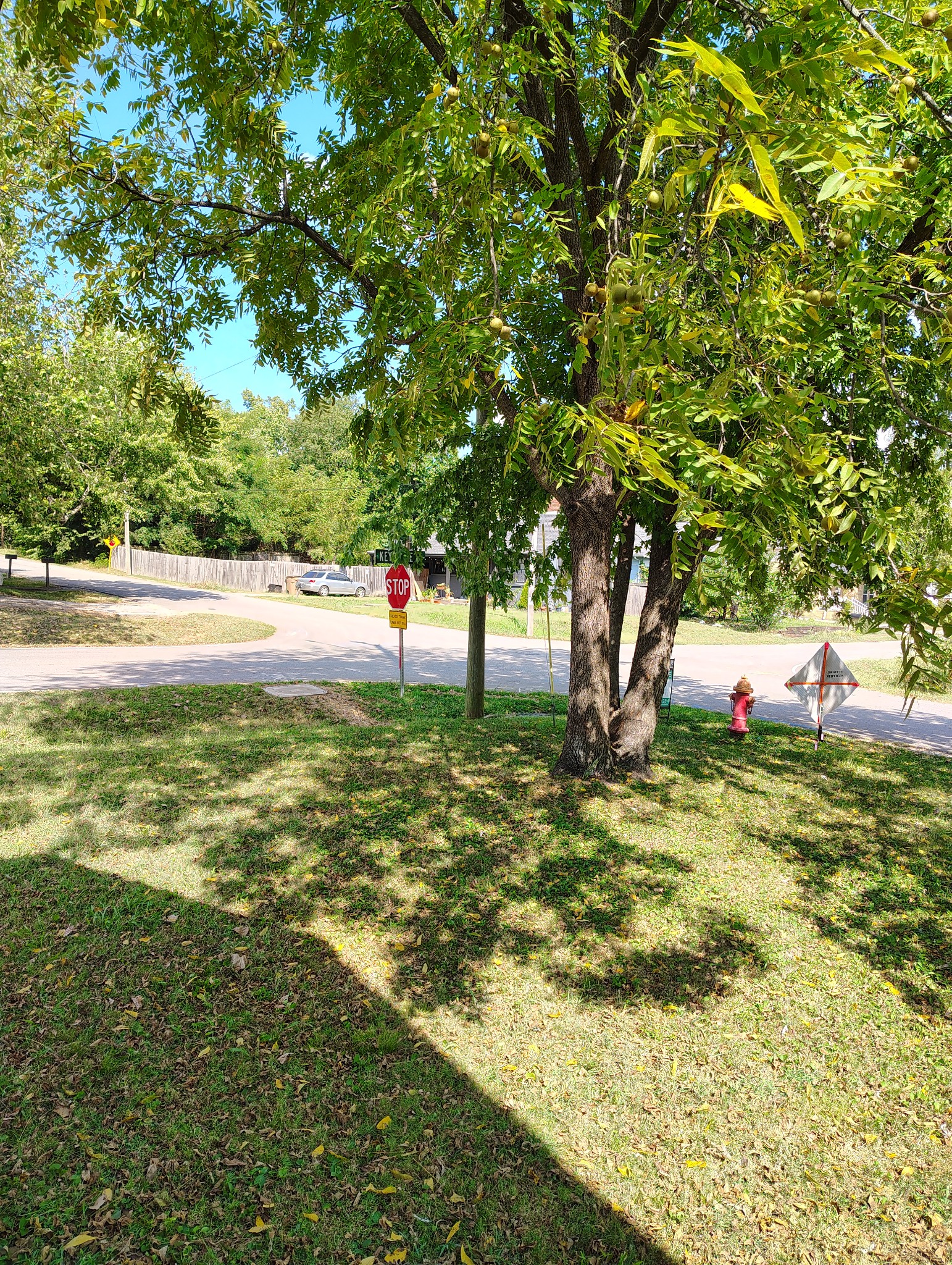 226 Raymond St, Nashville, TN 37211