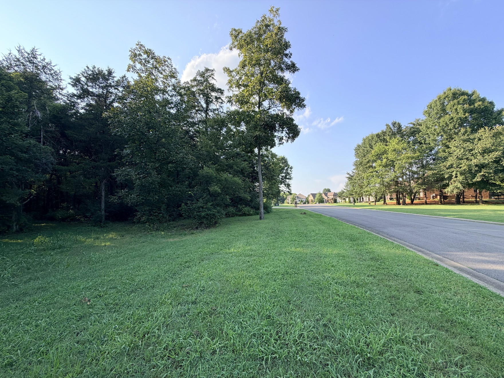 115 Rockingham Dr, Murfreesboro, TN 37129
