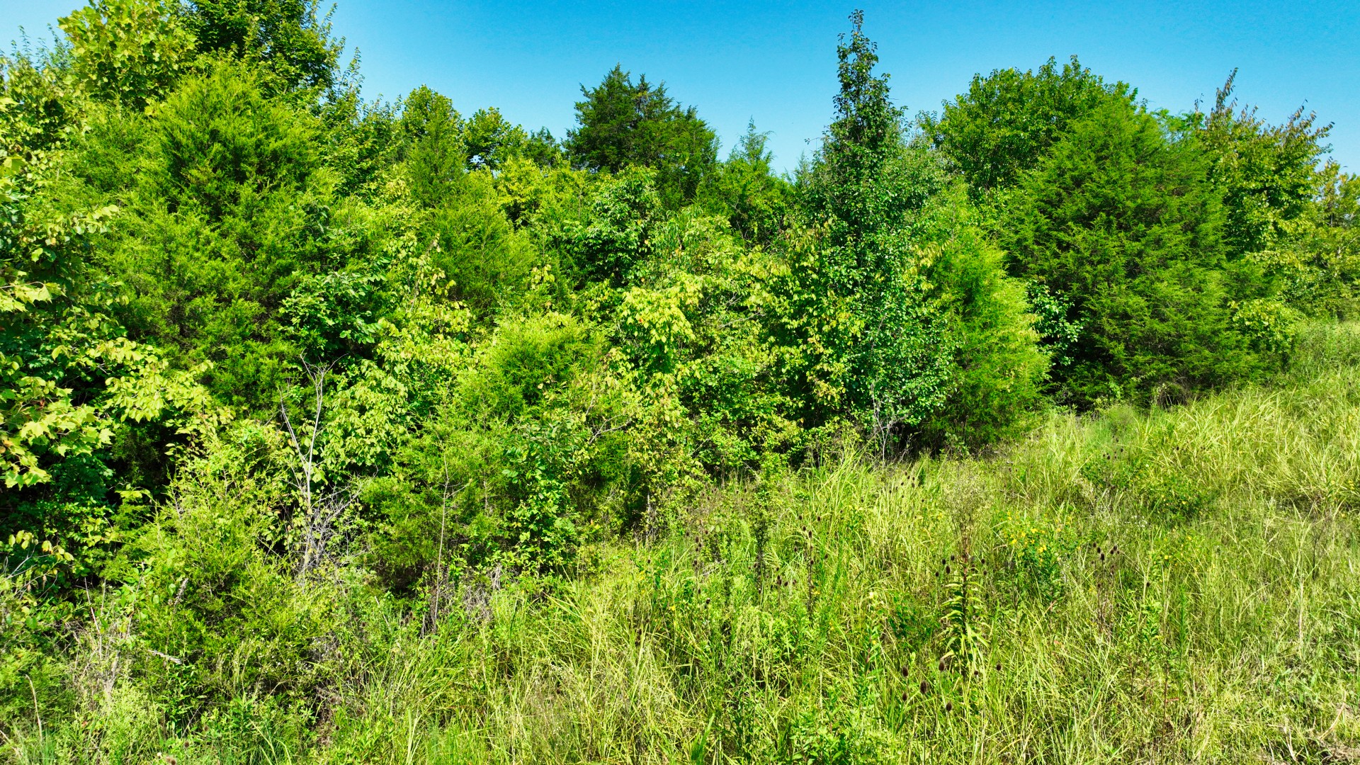 7725 Nolensville Rd Lot 2, Nolensville, TN 37135