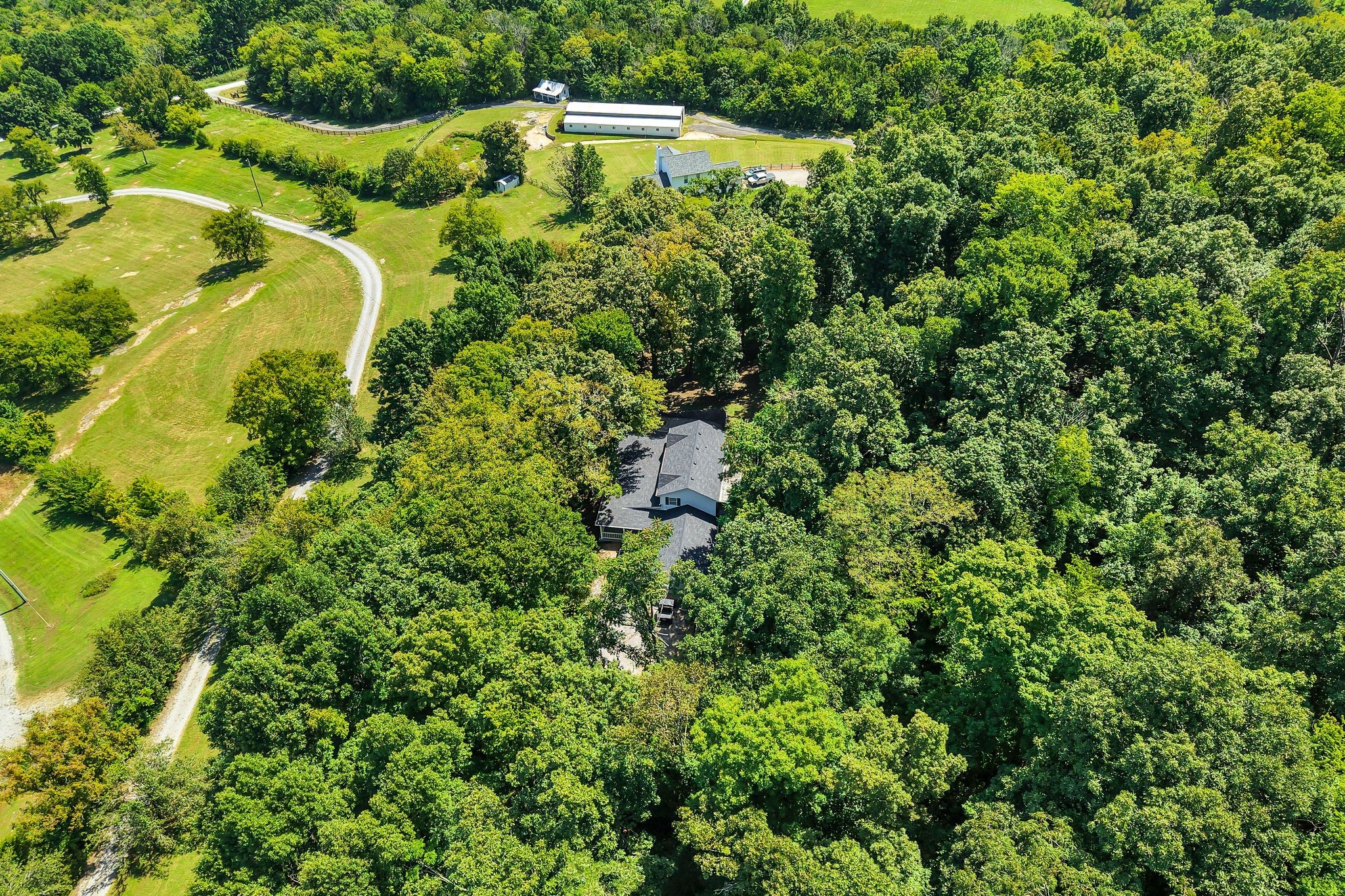 7915 Dismal Hollow Rd, Christiana, TN 37037