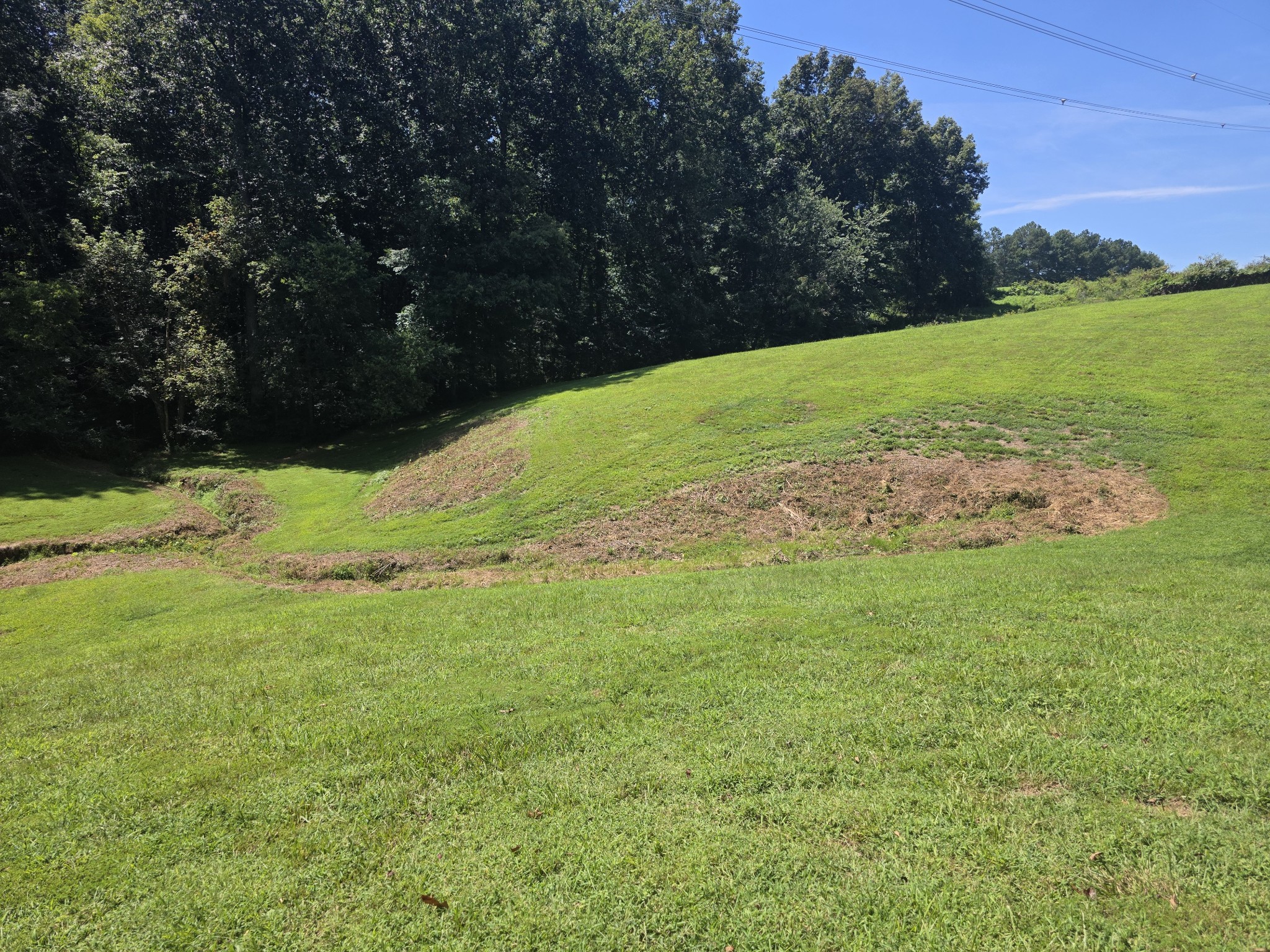 6353 Morton Rd, Greenbrier, TN 37073