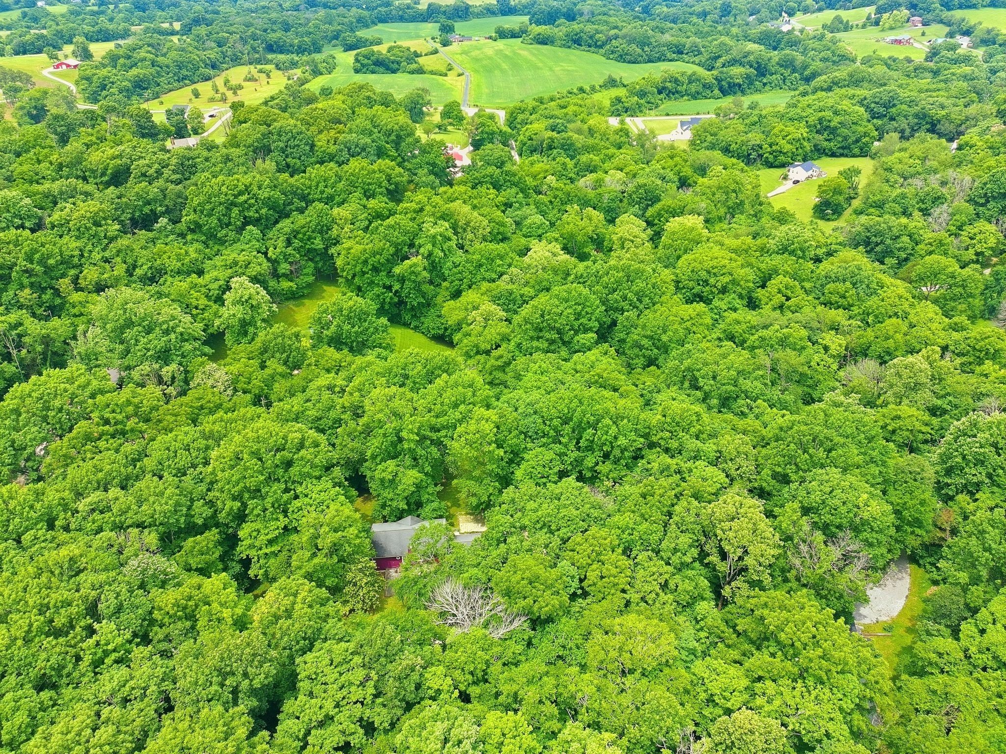 867 Mount Olivet Rd, Columbia, TN 38401