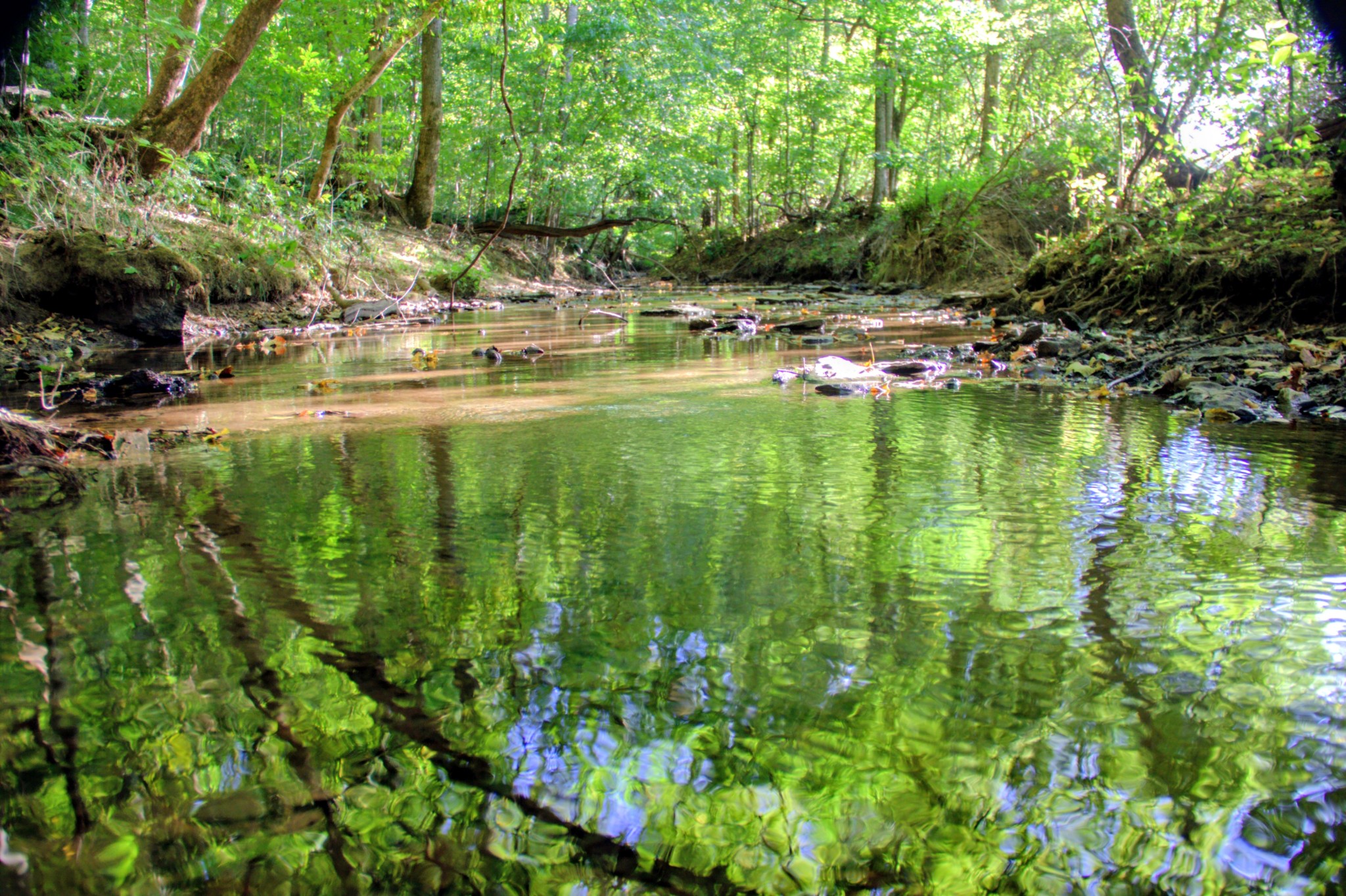0 Baptist Church Rd Lot 2C, Culleoka, TN 38451