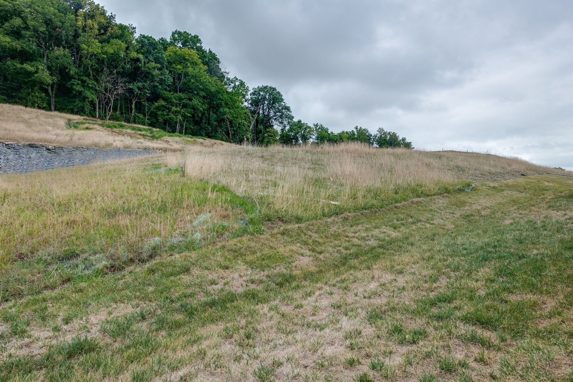 1041 Mountain View Dr, Thompsons Station, TN 37179