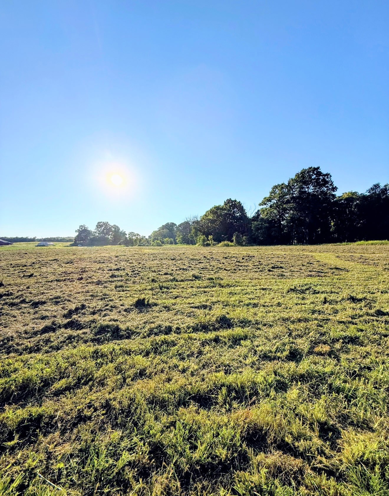 8001 Cainsville Rd Lot 8, Lebanon, TN 37090