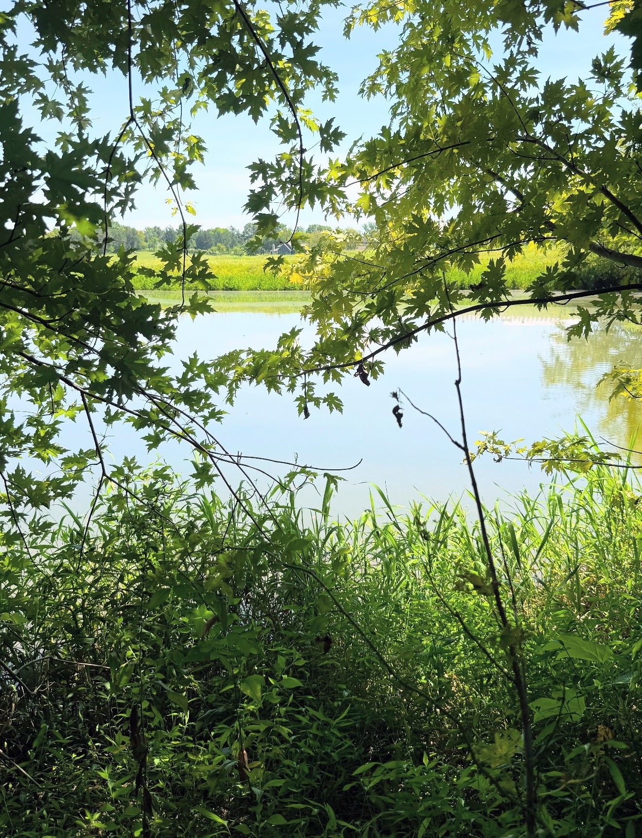 8001 Cainsville Rd Lot 8, Lebanon, TN 37090