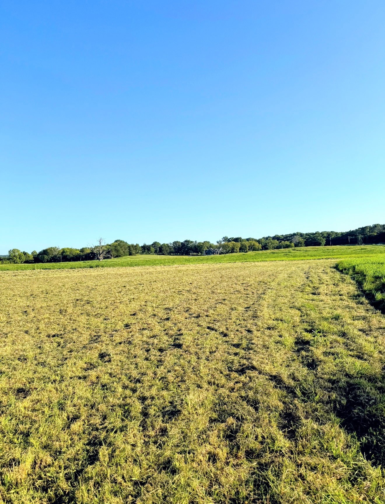 8001 Cainsville Rd Lot 8, Lebanon, TN 37090