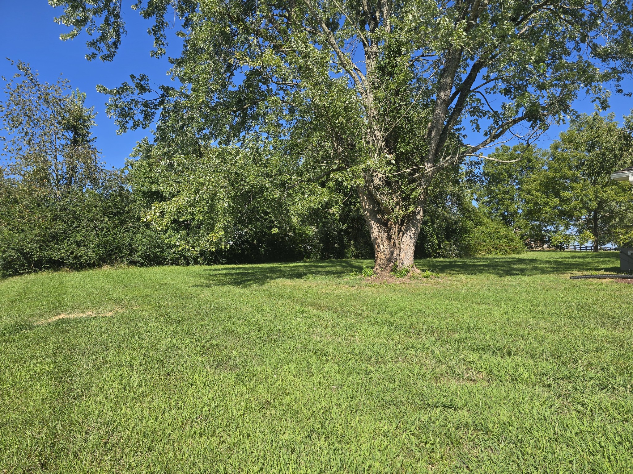 7105 School Heights Dr, Fairview, TN 37062