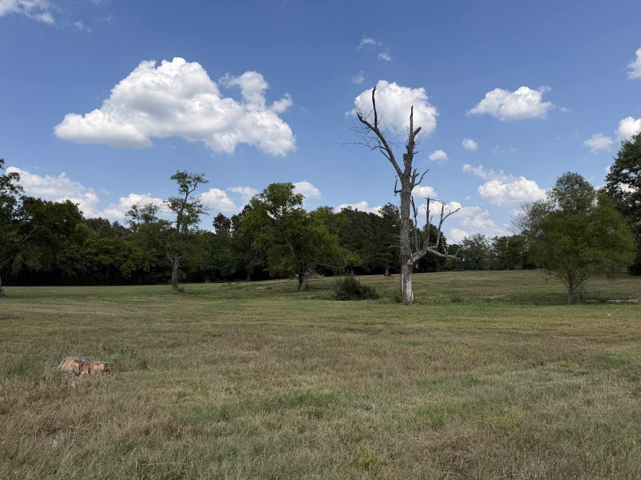 0 Midland Fosterville Rd, Bell Buckle, TN 37020