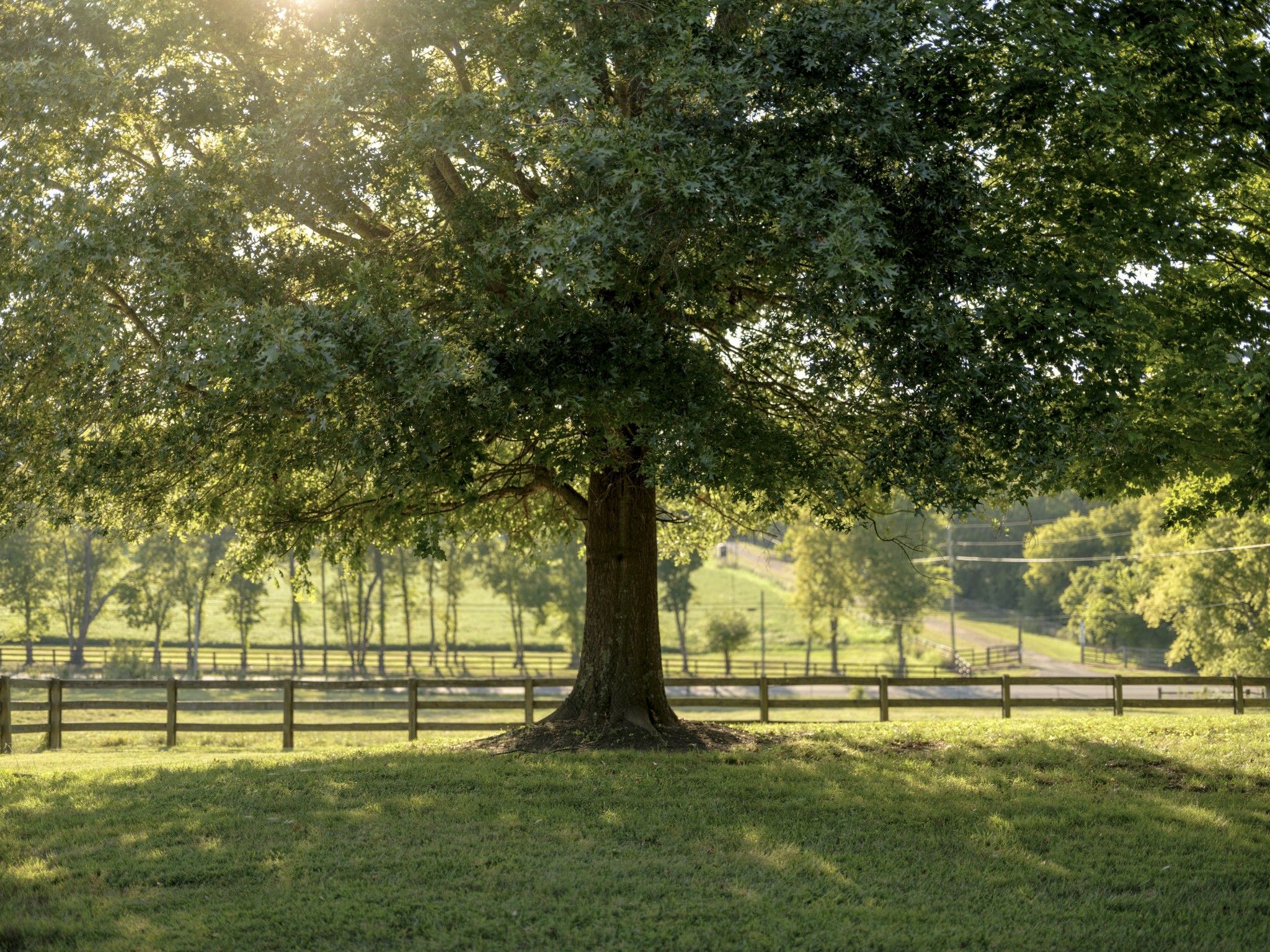 8005 Dry Creek Rd, Mount Pleasant, TN 38474