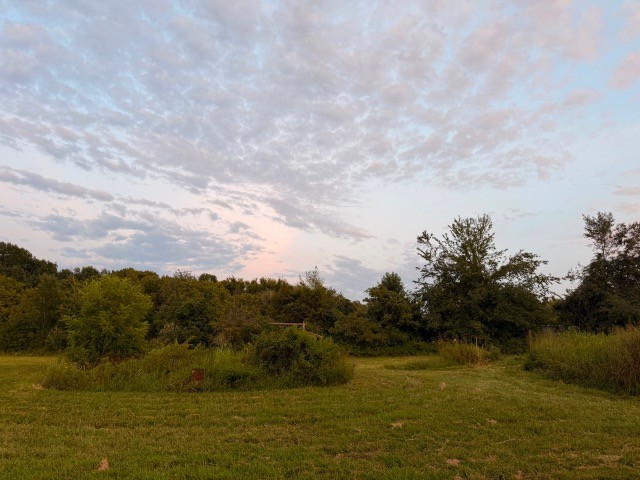 3231 Highway 52 E, Bethpage, TN 37022