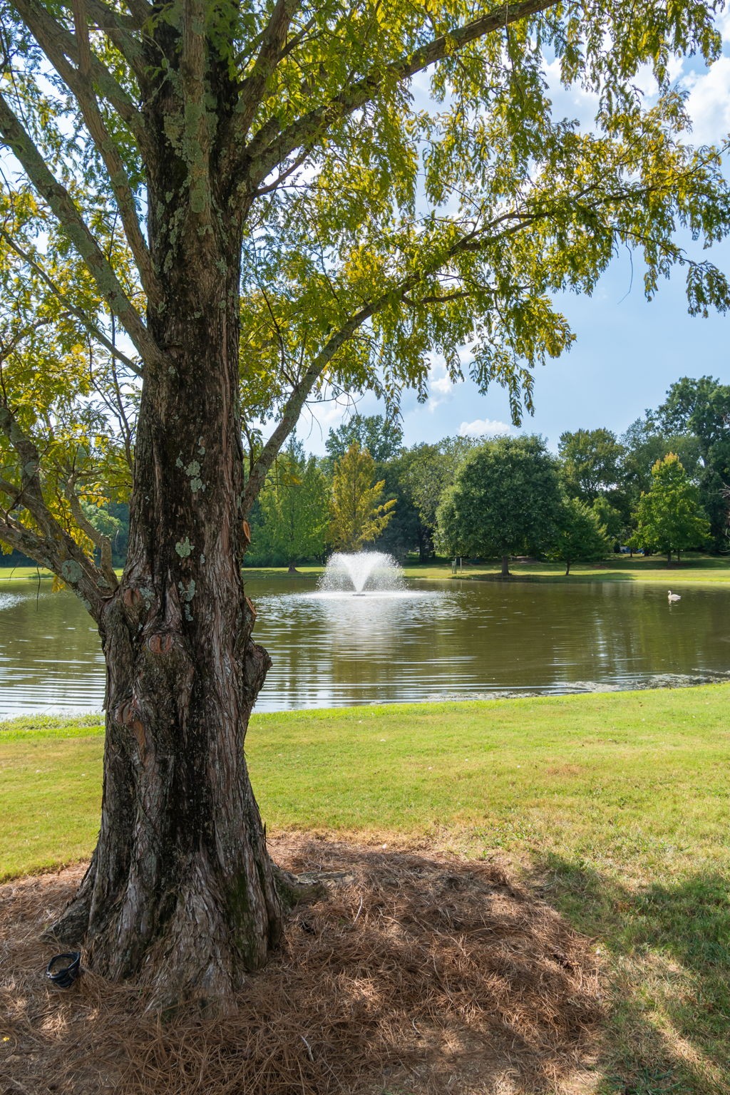 1101 Downs Blvd #157, Franklin, TN 37064