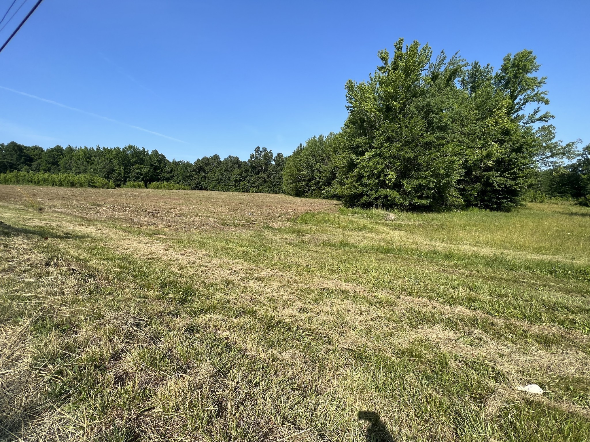 1 Maxey, Cedar Hill, TN 37032