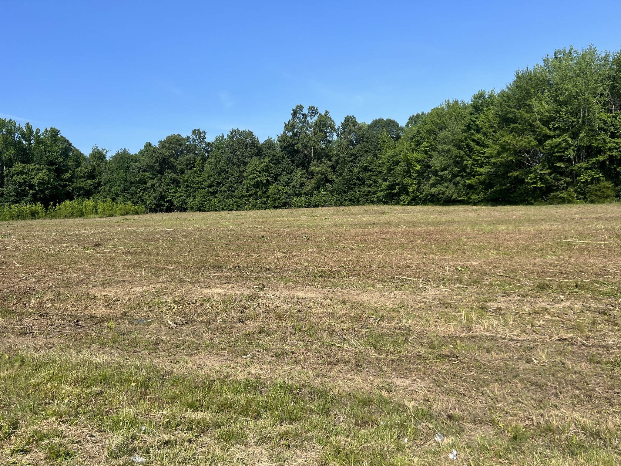 1 Maxey, Cedar Hill, TN 37032