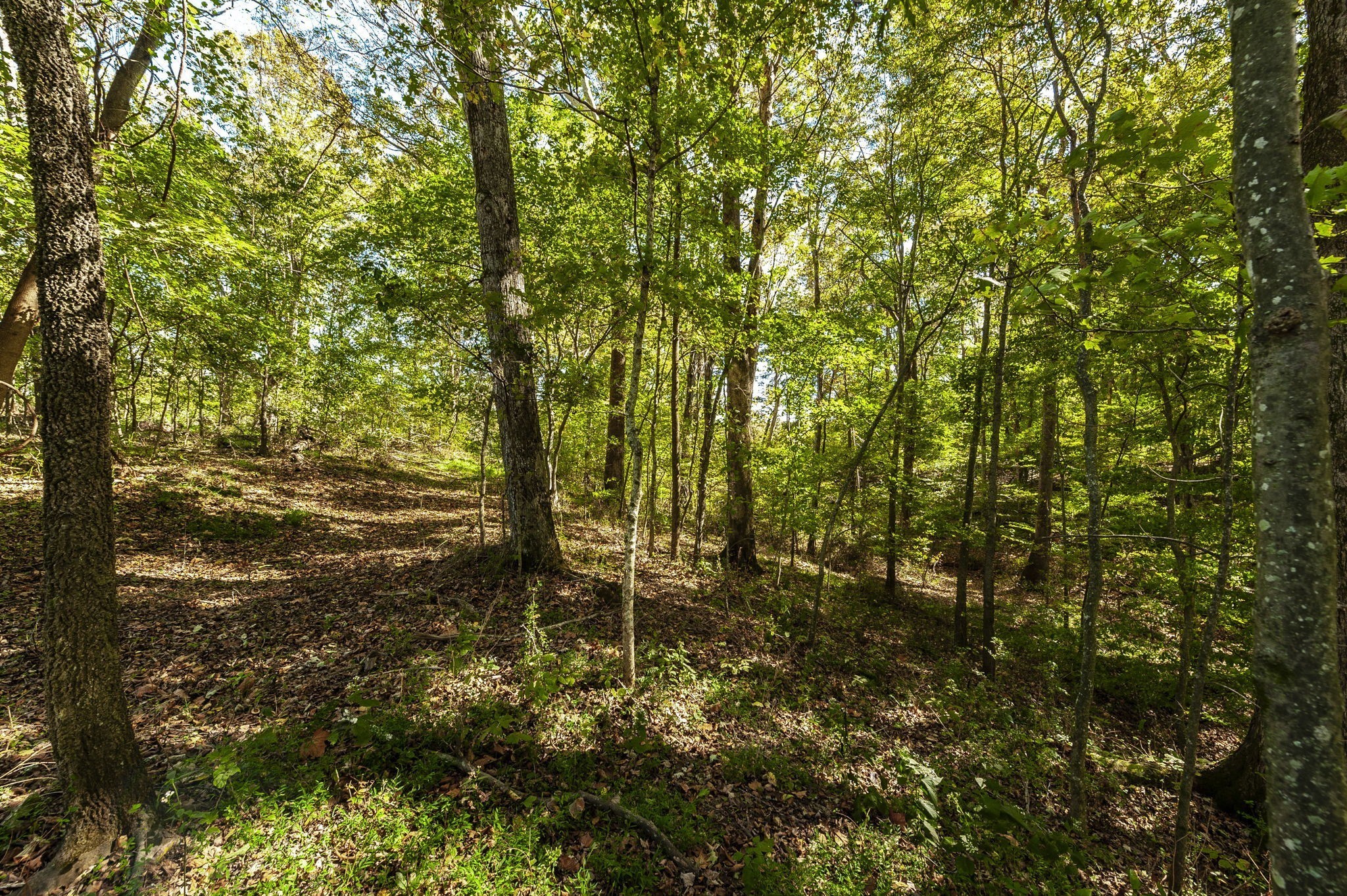0 Highway 52e Lot 1, Portland, TN 37148