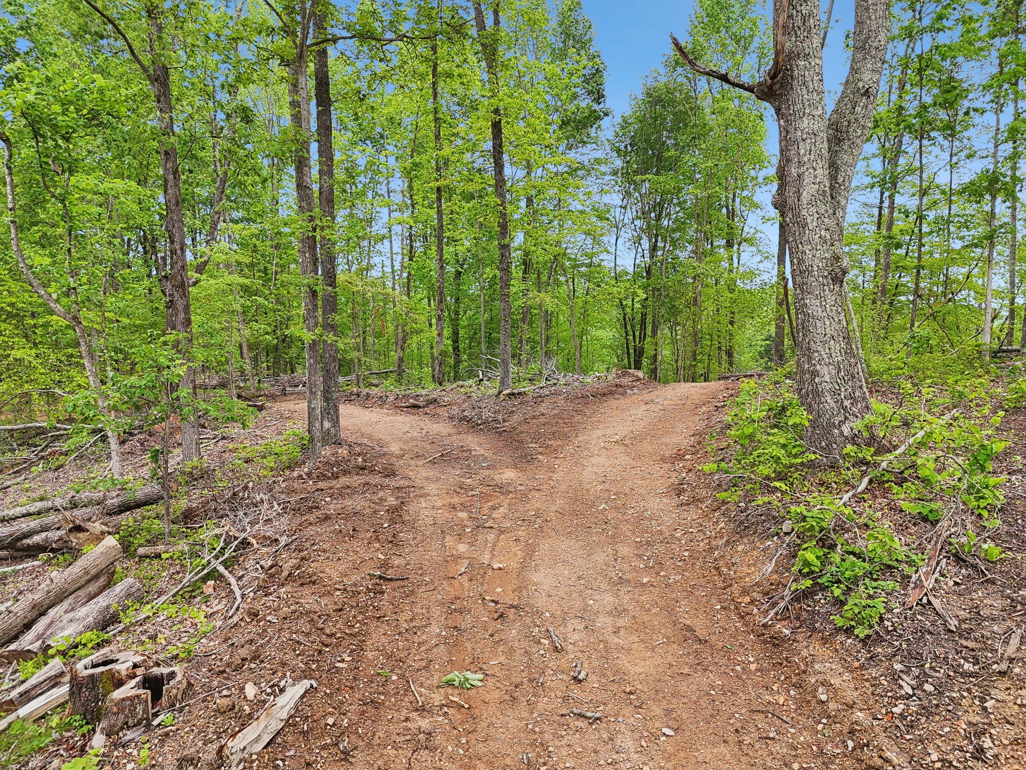 0 Simmons, Ashland City, TN 37015