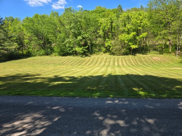 86 Dog Branch Rd S, Pleasant Shade, TN 37145