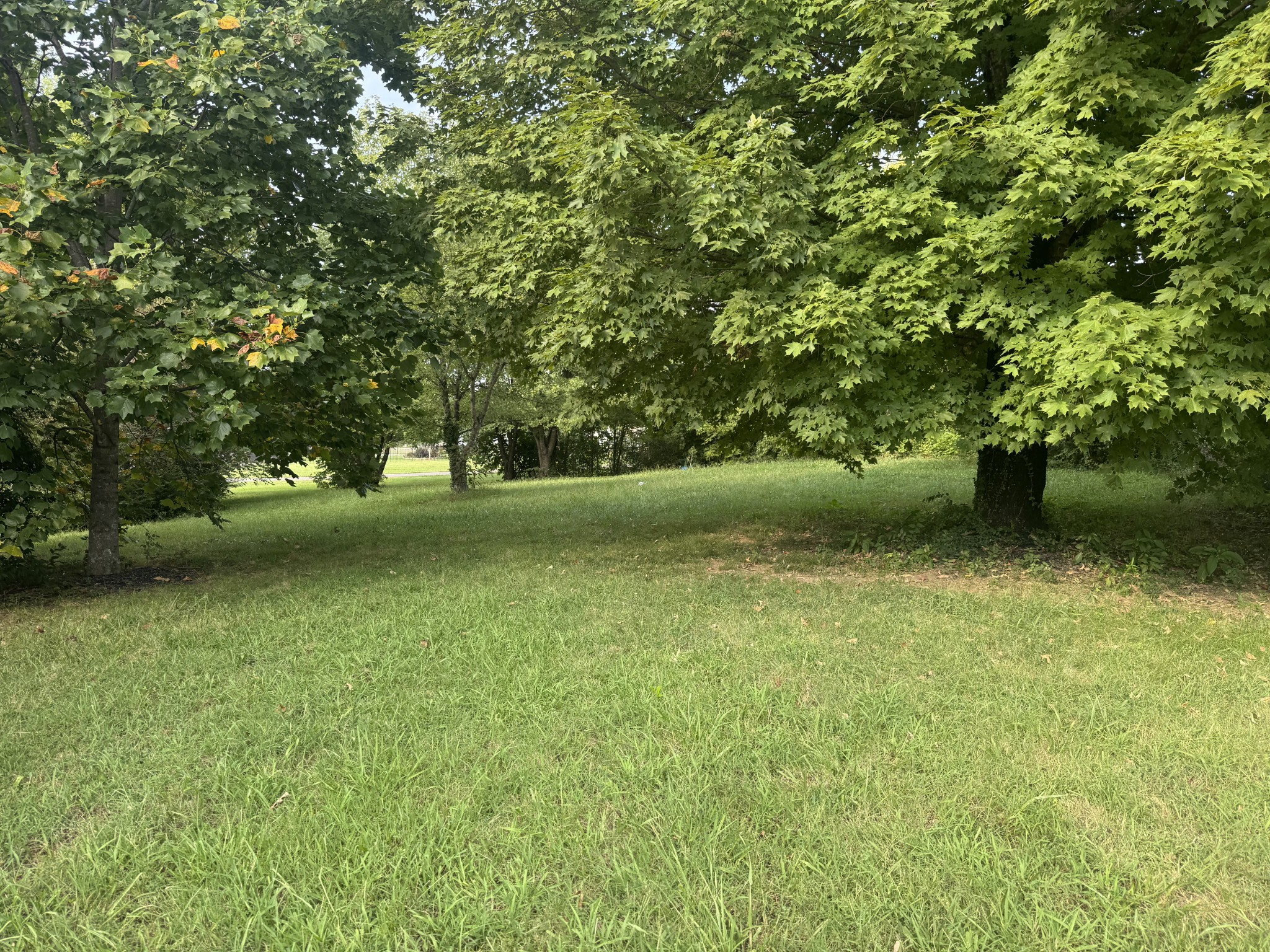 304 Delvin Dr, Nashville, TN 37211
