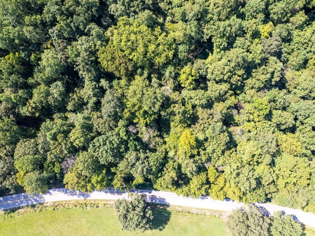 1 Vanleer Hwy, Charlotte, TN 37036