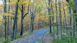 21 Vaughns Gap Rd #88F, Nashville, TN 37205