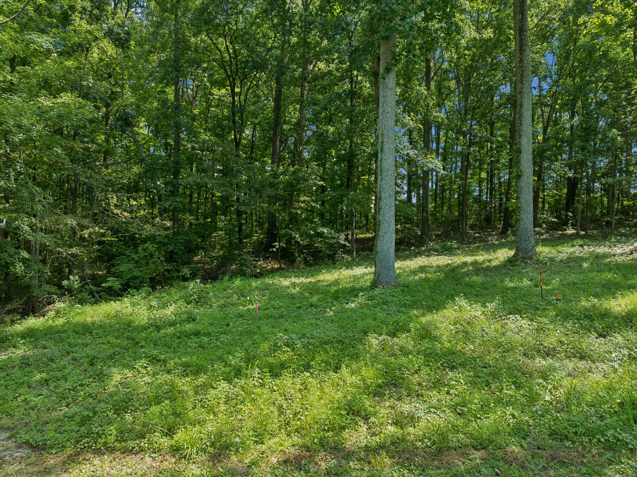 3212 Hunziker Ln Lot 3, Fairview, TN 37062