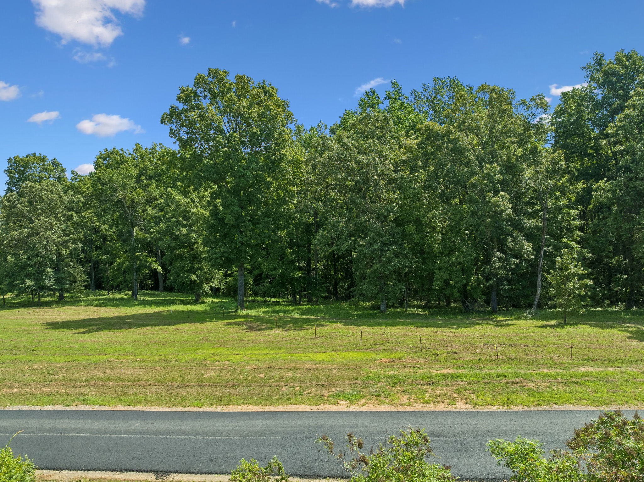 3218 Hunziker Ln Lot 4, Fairview, TN 37062