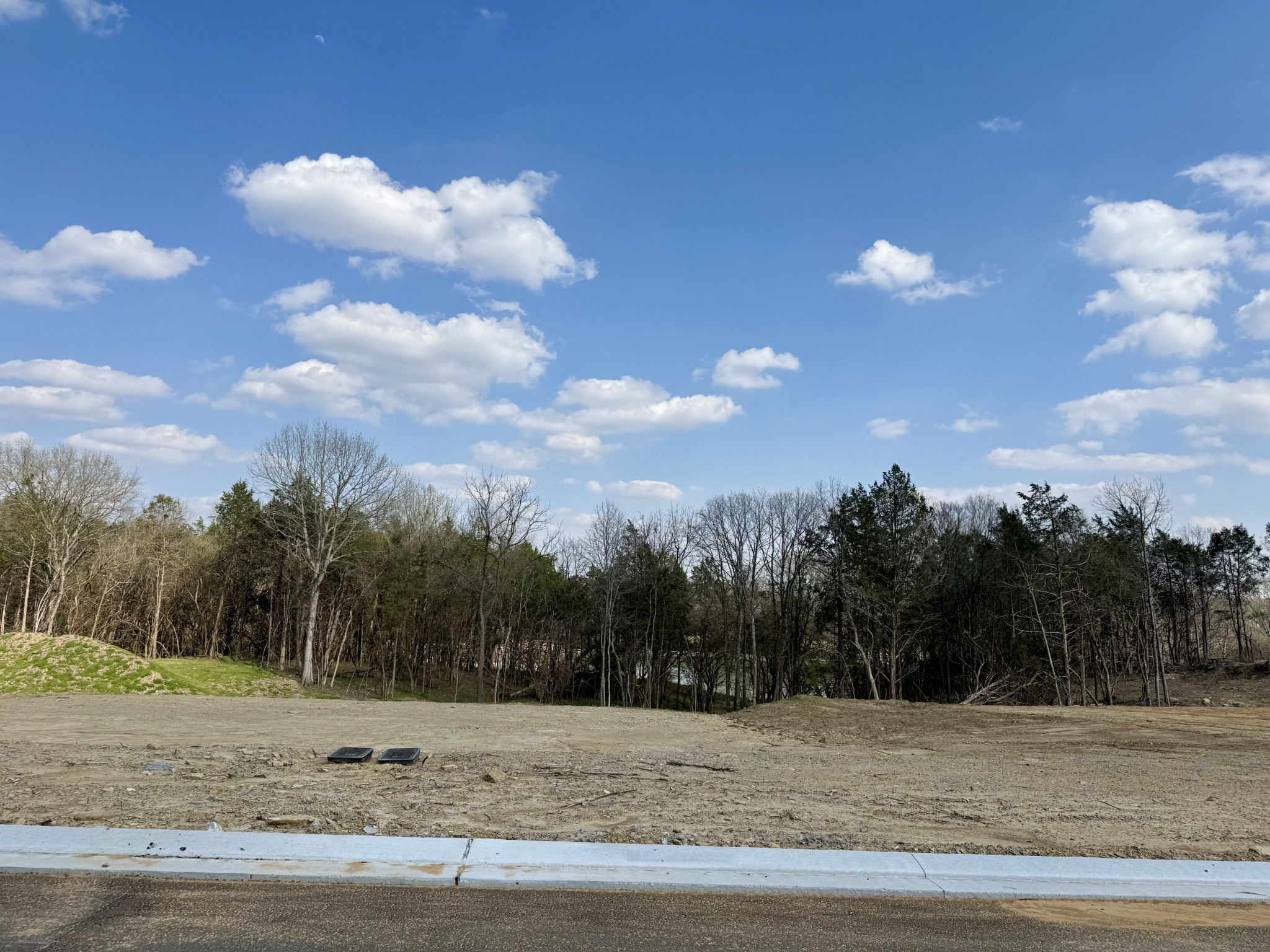 6108 St Charles Dr, Arrington, TN 37014